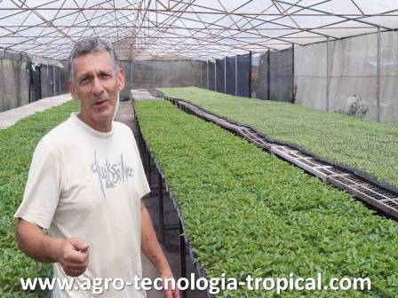 Carlos Medrano produce plantulas en semillero